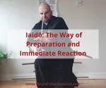 What is Iaido? An Introduction to the Japanese Art of Drawing the Sword