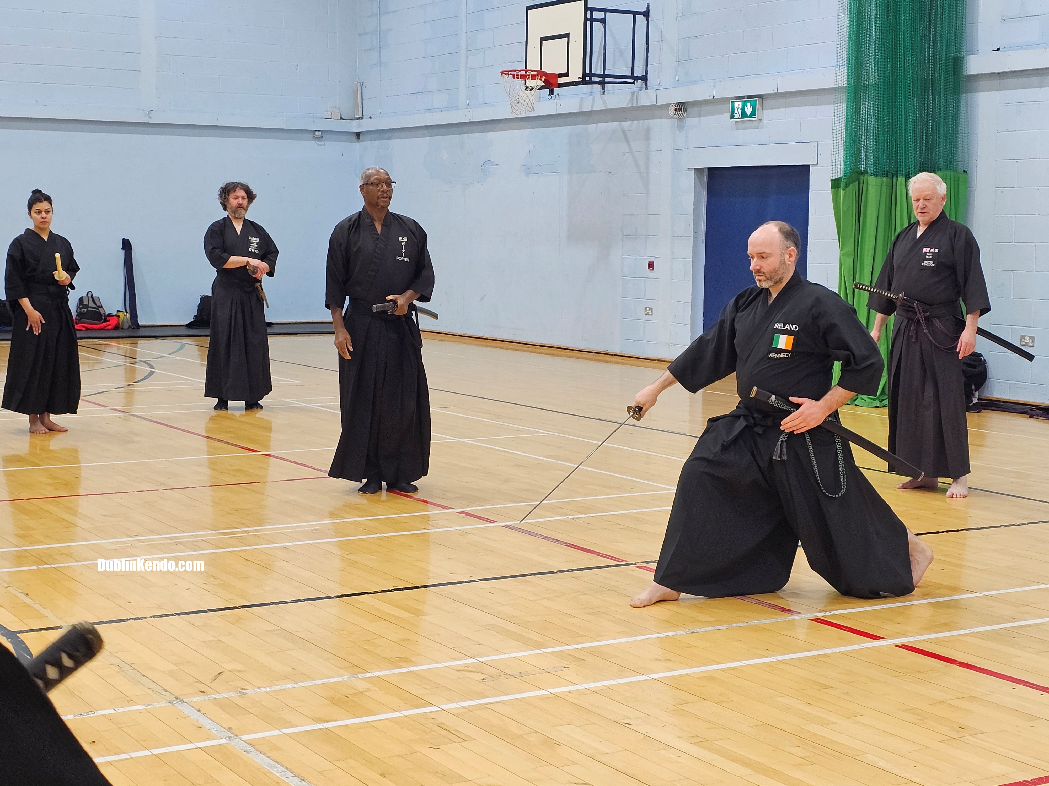 Finnish Seminar Photo 1 by Tea John Kennedy Iaido