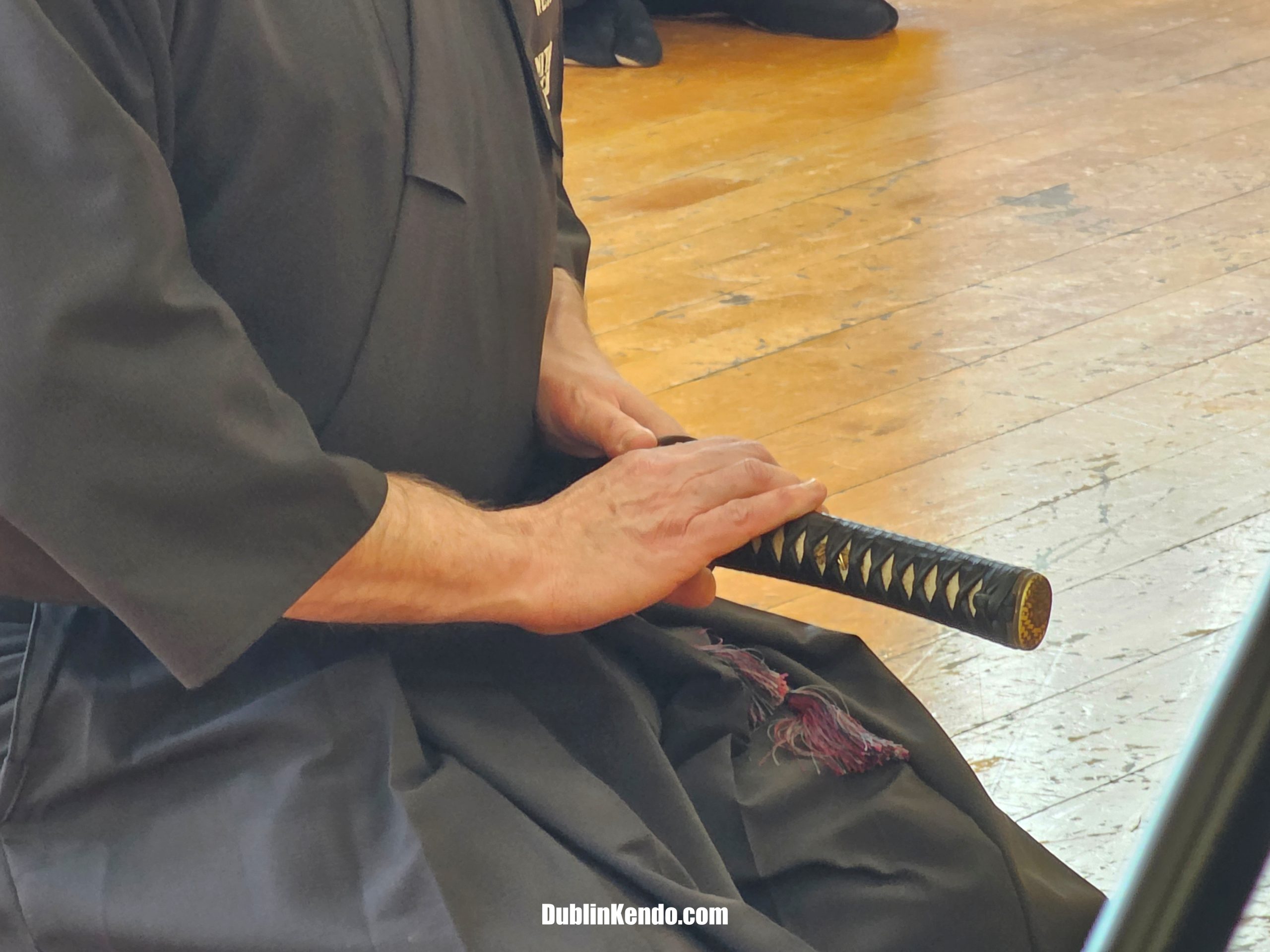Iaido Spring Seminar 2026 Hands Iaido Spring Seminar 2026 Hands
